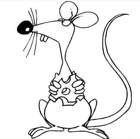 小老鼠简笔画:约翰逊实验室
