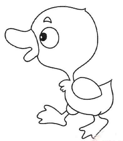 小鸭子简笔画:鸭子的智慧
