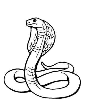 蛇的简笔画 画法图片,儿童动物简笔画教程,如何画蛇的图片,简单易学蛇的画法,幼儿学画蛇的简易画法,关于眼镜蛇简笔画素材.
