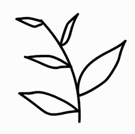 树叶简笔画:秋天的按树叶图片