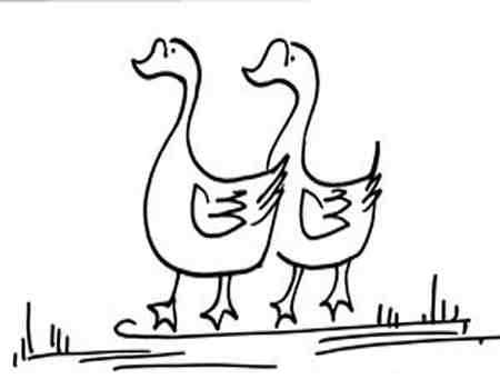 小鸭子简笔画:小鸭