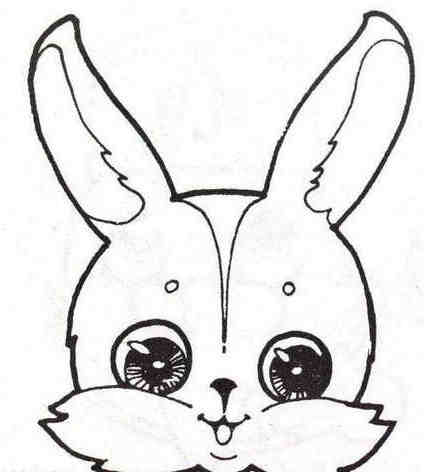 兔子简笔画:长耳兔