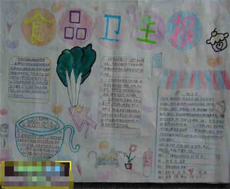 食品安全手抄报:食品安全小论文