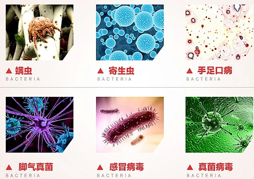 手足口病高发 雪莱特紫外线消毒呵护宝宝健康