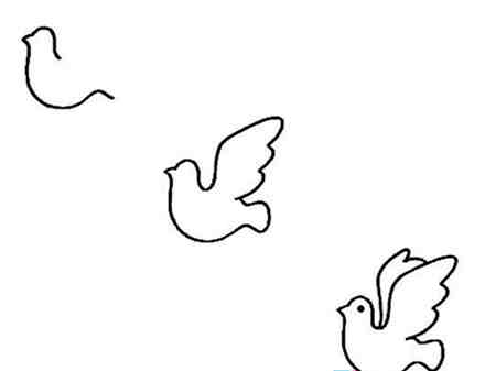 和平鸽简笔画:我发现和平鸽受伤了