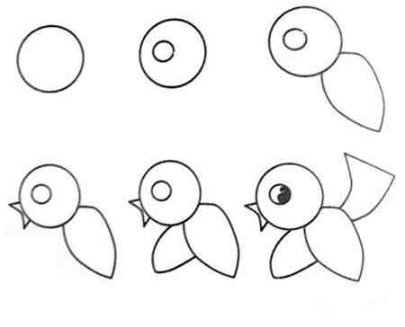 小鸟简笔画:小鸟的简单画法
