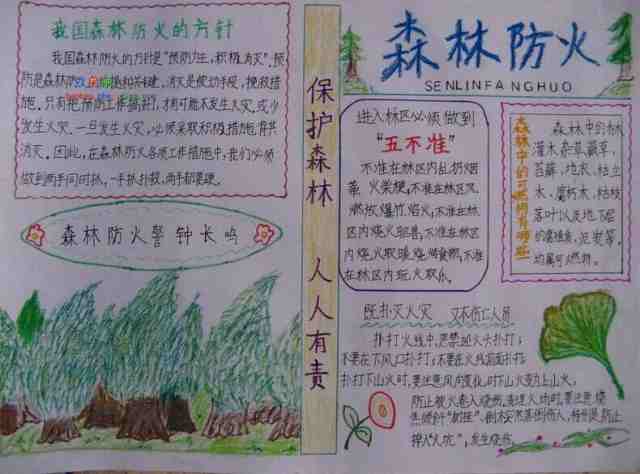 森林防火手抄报:森林防火手抄报图片花边