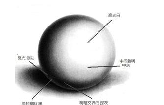 素描图片:新手素描石膏圆的明暗处理方法
