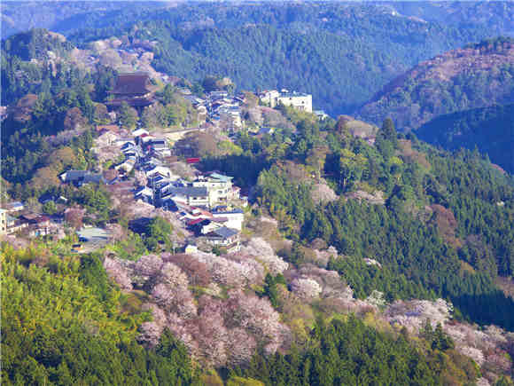 不走常路 鲜为人知日本观光地