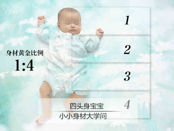 4头身宝宝 身材黄金比例皆学问