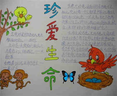 珍爱初中手珍爱:抄报生命作文800字理新课解读标生命地图片