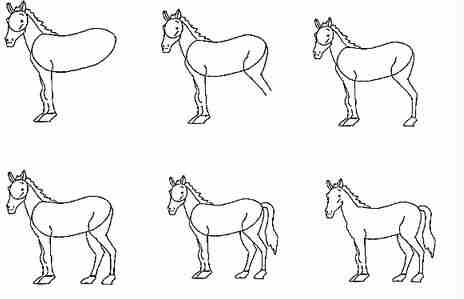 马的简笔画:兔子和马