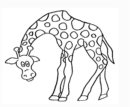 长颈鹿简笔画:我最喜欢的小动物--长颈鹿