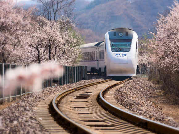 春花烂漫 超全拍花技巧学起来