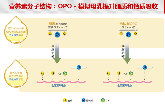 OPO奶粉虽然好，掌握挑选门道很关键