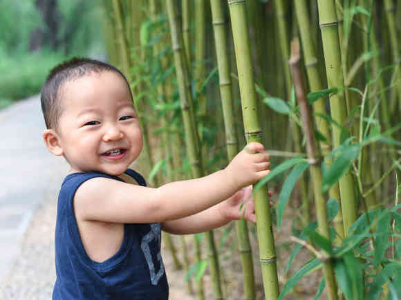 酷暑六月 带娃去深山竹林纳凉