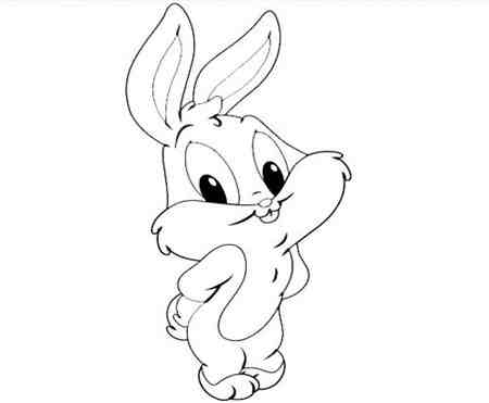 兔子简笔画:可爱的雪儿