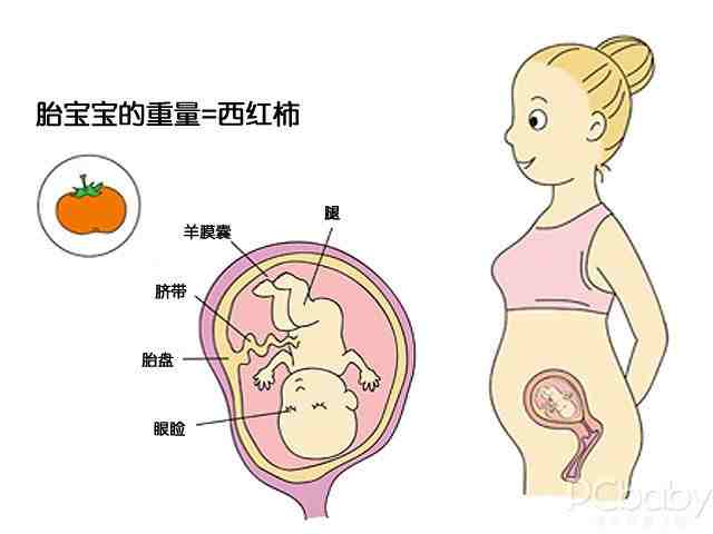 怀孕1