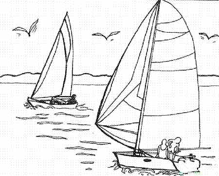 帆船简笔画:比赛帆船分类
