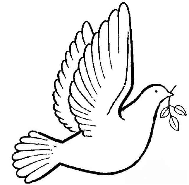 和平鸽简笔画:放飞我心中的和平鸽