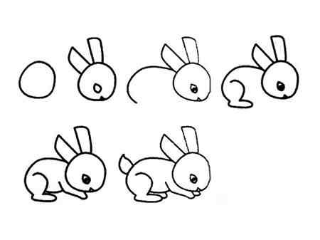 兔子简笔画:兔子的繁殖方式