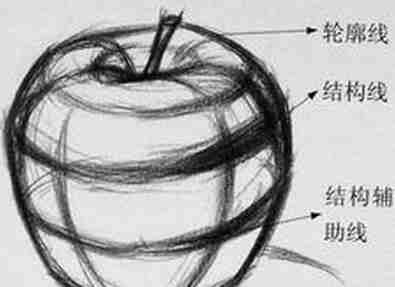 结构素描:投影画法