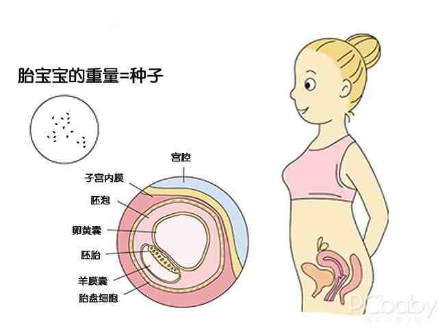 怀孕1 10个月胎儿生长发育指标 附图 怀孕科普 怀孕 太平洋亲子网